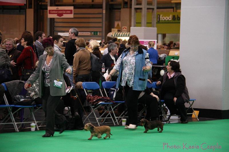 Crufts2011_2 962.jpg